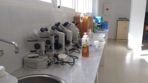 laboratorio-ciencias-ies-carlos-cano-2