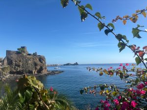 WhatsApp Image 2025-11-18 at 08.41.01 (3)